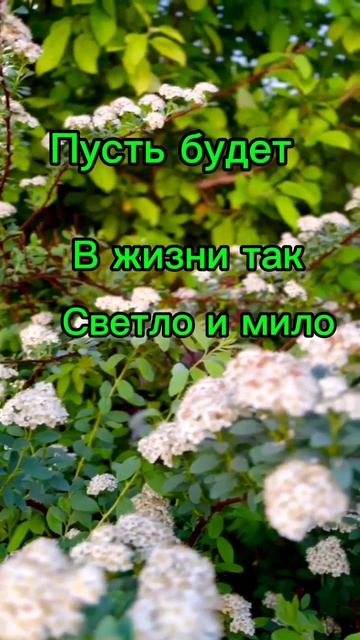 Доброе утро, Друзья!☕💖🌿