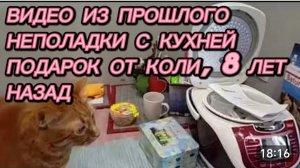 САМВЕЛ АДАМЯН, ПО ПРОСЬБАМ ЗРИТЕЛЕЙ, НЕПОЛАДКИ С КУХНЕЙ, ПОДАРОК ОТ КОЛИ, 8 ЛЕТ НАЗАД..