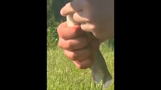 VID_20260610_221923