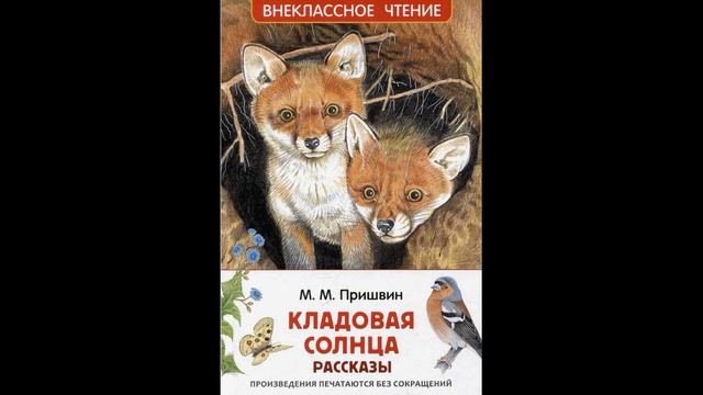 Летние чтения для школьников. Часть 2 (10+)