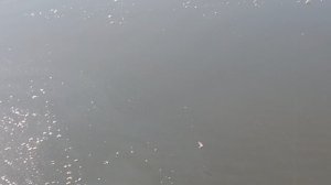 1000047707.mp4
