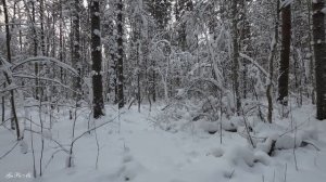 Живая Природа 7