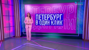 Петербург в один клик. Поющий Дворцовый, крякающий «Хор на весь двор» и лоси-купальщики