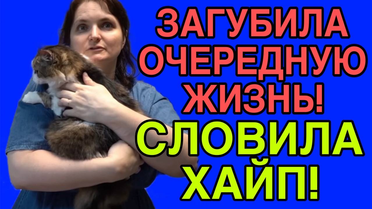 ОЧЕРЕДНАЯ ЖЕРТВА БАРБОСА! VREDINA LIFE. ОБЗОР. смотреть онлайн