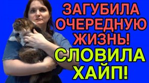 ОЧЕРЕДНАЯ ЖЕРТВА БАРБОСА! VREDINA LIFE. ОБЗОР.