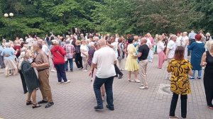 Расцветают лилии..... 07.06.26 Гомель парк Луначарского 🥰💫