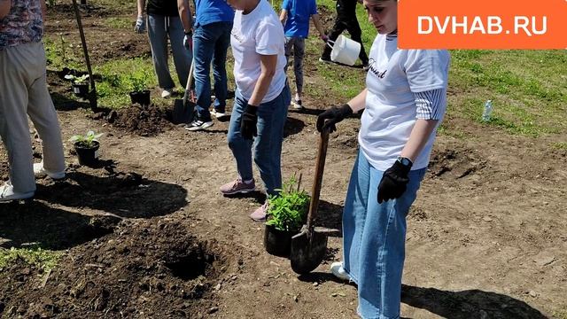 Около одной тысячи деревьев высадили в Сквере трудовой доблести