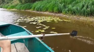 ищу рыболовные снасти на речке часть 4