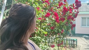 #Мы в деревне. Загружены работой.Съездили в Кущевскую, увидели пляж на р.Ее.