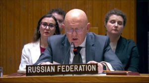Statement by Vassily Nebenzia at UNSC Briefing on the Work of Security Council Committee 1737