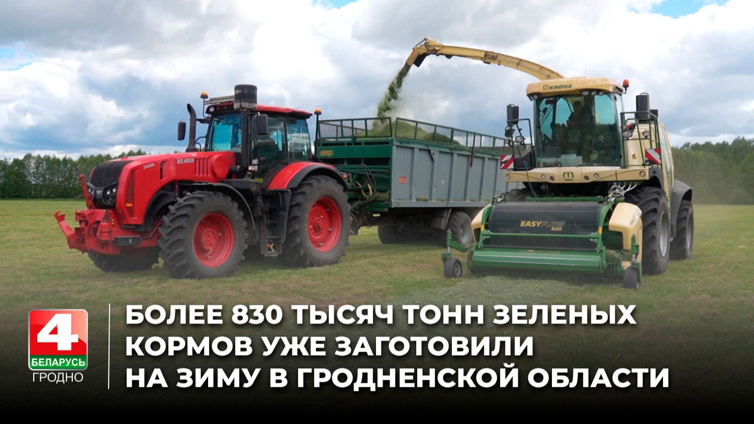 Более 830 тысяч тонн зеленых кормов уже заготовили на зиму в Гродненской области