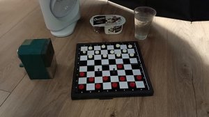 Играю в шашки с Йогуртом
