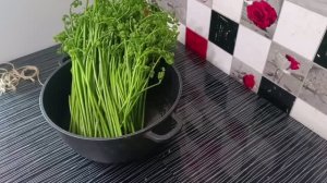 Солим папоротник по ГОСТУ на зиму