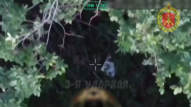 Военнослужащие 6-й казачьей бригады