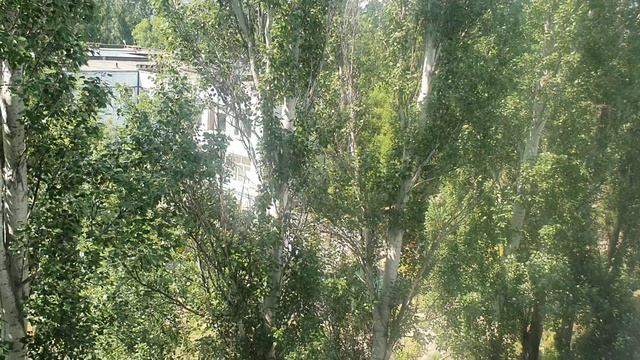 Жара вернулась к нам🤗🥰 смотреть онлайн
