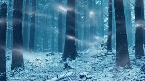 Истории из жизни | Аудио рассказы |  СВЕКРОВЬ 8 ЛЕТ НАЗЫВАЛА НЕВЕСТКУ «НИЩЕЙ»…  | Жизненные истории