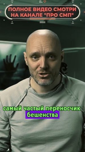 #бешенство #прививка #вакцина #врач #лечение #покусала #собака #ПроСМП #перваяпомощь