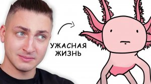 Почему плохо родиться АКСОЛОТЛЕМ - реакция Градуса и Вазачки