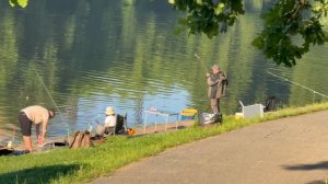 Утро на водоёме