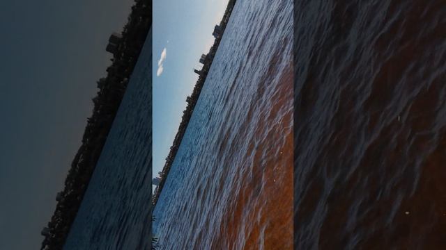 что-то плавает в водохранилище мы не знаем что смотреть онлайн