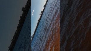 что-то плавает в водохранилище мы не знаем что