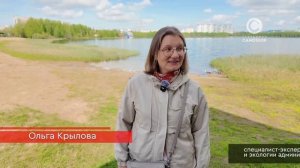 Административная и уголовная ответственность за порчу зеленых насаждений