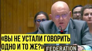 «Где ваши слезы по Старобельску» Небензя в ООН устроил разнос европейским спонсорам Украины