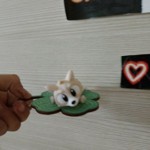 коллаб МОПС ТВ CORGI TV!♡ подпишись🥰🥰🥰