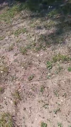 гуляю