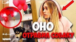 КЛОУН ПРОНИК В НАШ НОМЕР В ОТЕЛЕ!!! ПРИВЯЗАЛ СОБАКУ И ОСТАВИЛ СЮРПРИЗ! МЫ ЗНАЕМ КТО КЛОУН ОНО!