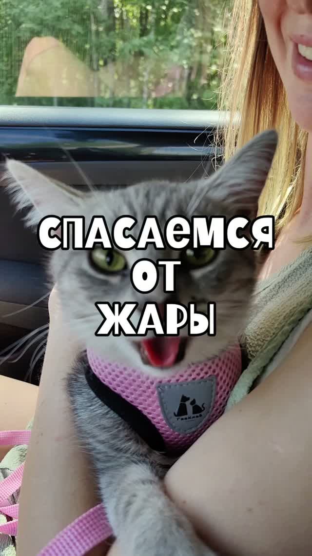 Спасаемся от жары