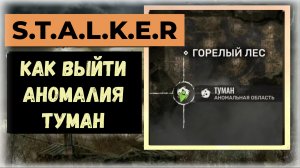 S.T.A.L.K.E.R.2  Как выйти из аномалии «Туман»  локация Горелый лес