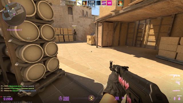 ДЕВУШКА 💖 взяла АВИК и СДЕЛАЛА Counter-Strike 2 Сама в шоке! CS 2💖