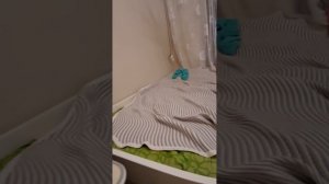 1000093709.mp4