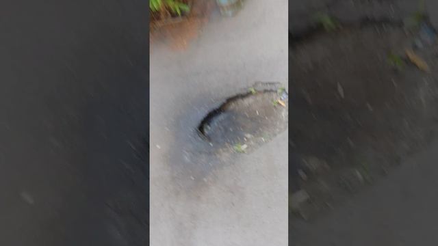 1000002812.mp4 смотреть онлайн