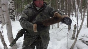 ЗАКРЫВАЕМ КАПКАНЫ С БАТЕЙ НА СОБОЛЯ И РЫБАЧИМ НА ТАЁЖНОЙ РЕЧКЕ.