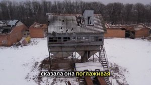 Аудио рассказ: Девушка увязла в болоте… И вдруг произошло невозможное