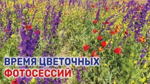Кубанские обочины дорог превратились в идеальные локации для фотосессий