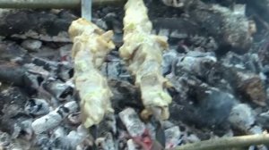 Мою Золото под шашлык и коньяк!