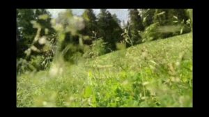 РОССИЯ - ТОЛЬКО НЕ УПАДИ ОПЯТЬ НА КОЛЕНИ!