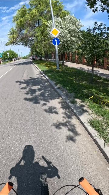 Всё цветёт, тепло, солнце - чистое счастье ехать на велосипеде #велопоездка #велосипед #Тюмень