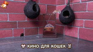 Видео для кошек про крысок развлекать питомцев 🐭🐀😂 (556)