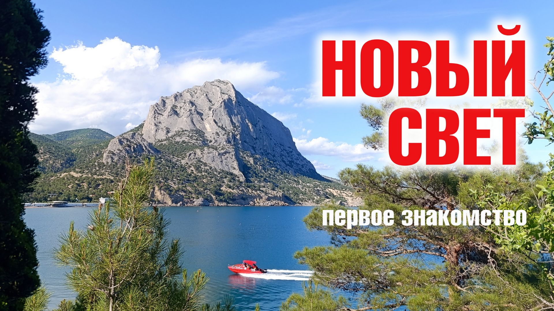 НОВЫЙ СВЕТ. Первое знакомство. #58