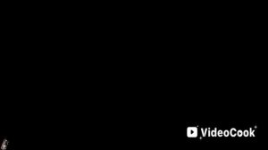 1000176960.mp4