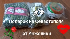 Подарок из Севастополя Зацвели колокольчики Покупки #садогород #цветы #подарки #покупки