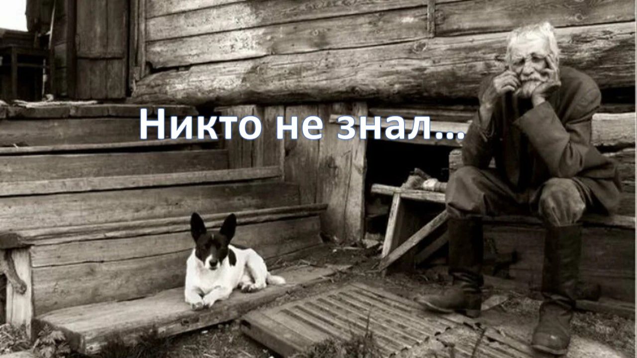 43с Никто не знал ДБ смотреть онлайн