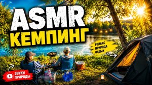 24 часа в тихом лесном кемпинге | ASMR