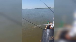 рыбалка в Астрахани