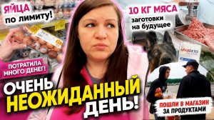 Меня так душила жаба, но страшилки меня убедили Влог