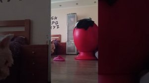 1000039494.mp4